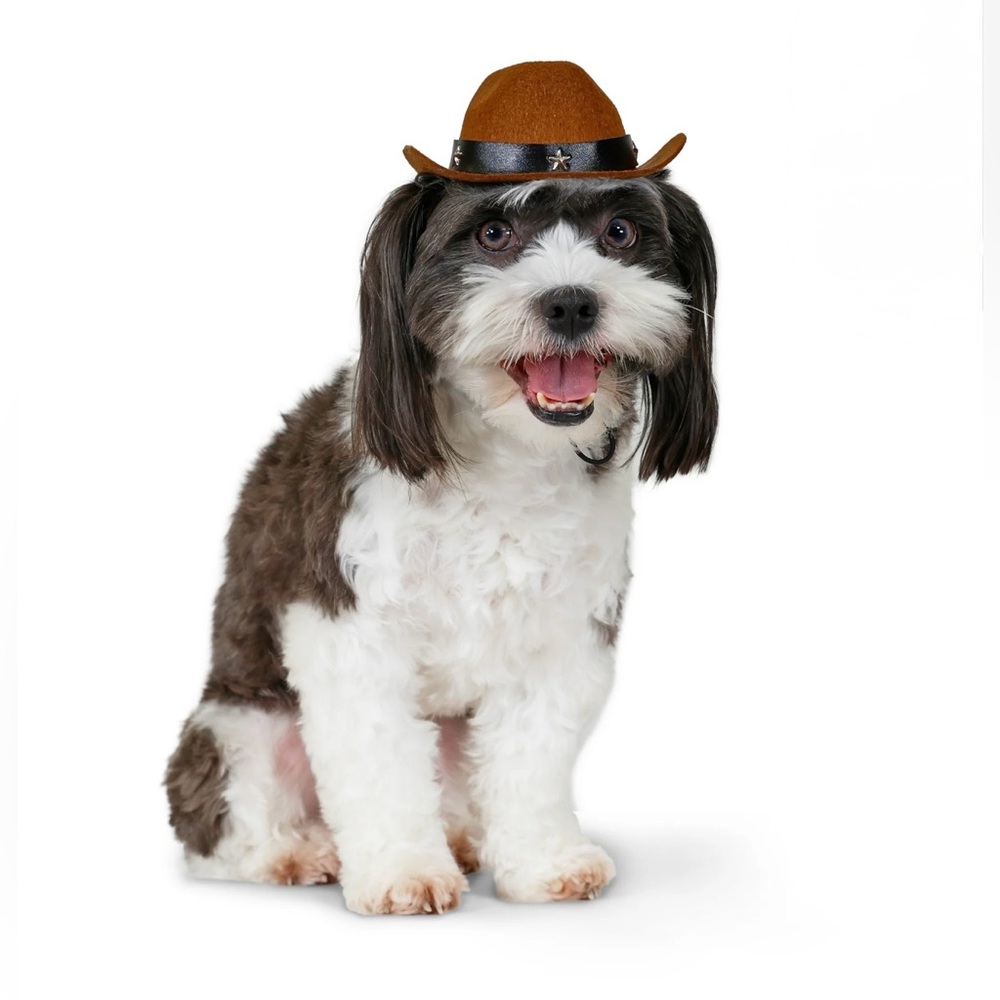 NWT - Cowboy Hat for Dogs & Cats - Brown